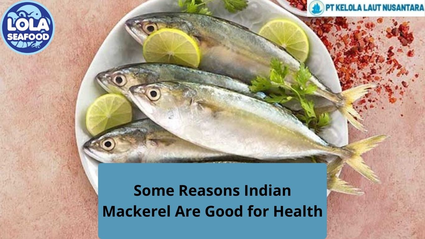 Some Reasons Indian Mackerel Are Good for Health